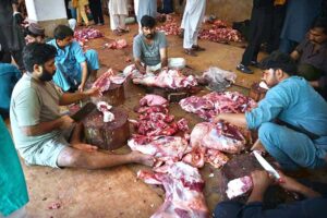 Butchers busy in slaughtering sacrificial animals at Jamia Naeemia on the first day of Eidul Azha
