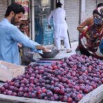 A woman buys Plums from a road side vendor