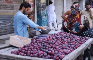 A woman buys Plums from a road side vendor