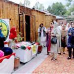 Deputy Speaker Gilgit-Baltistan Assembly Sadia Danish visiting the stall during the Summer Fest 2024 organized by the Women Chamber of Commerce & Industry