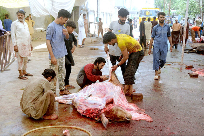 Butchers chopping meat into pieces to distribute among the people on the 2nd day of Eid-ul-Adha