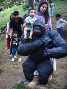 A large number of families arrive to spend their holiday at Lahore Zoo in Provincial Capital.