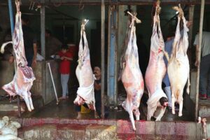 Butchers prepare to slaughter sacrificial animal on 1st day of Eidul Azha in Provincial Capital