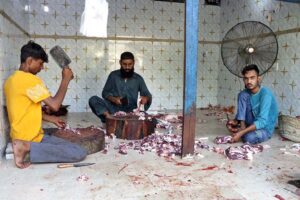 Butchers prepare to slaughter sacrificial animal on 1st day of Eidul Azha in Provincial Capital