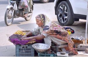 An aged woman selling seasonal fruits in hot weather at her roadside setup to earn for livelihood.