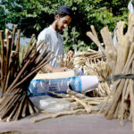 A street vendor offers herbal teeth-cleaning sticks collected from various trees at his stall near a mosque in Abbpara, the Federal Capital