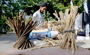 A street vendor offers herbal teeth-cleaning sticks collected from various trees at his stall near a mosque in Abbpara, the Federal Capital