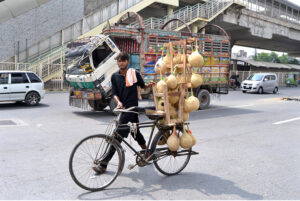 A youngster on his way along with bicycle loaded with hand-made nests for selling at Samanabad Road.