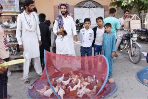 A vendor is selling chickens at Bird market