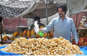 A vendor showering water on the sugar cane pieces to keep them fresh at his roadside setup.