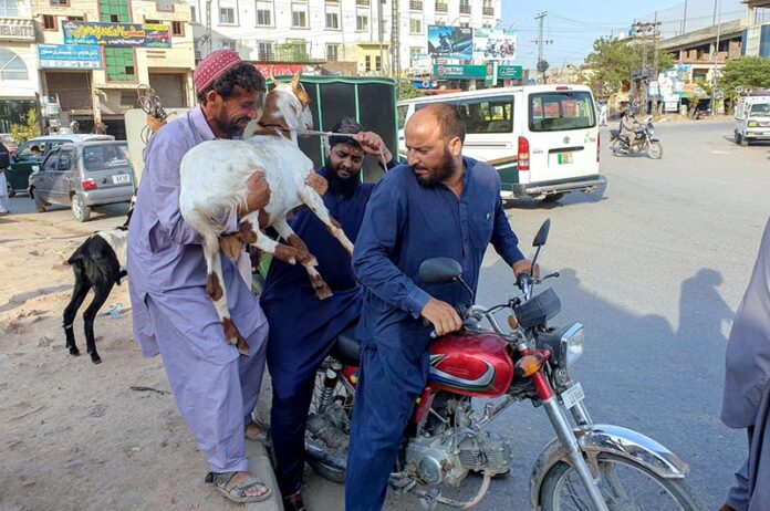 A vendor helps the customer to load a goat on a motorbike bought for sacrifice at Zia Masjid area ahead of Eid ul Azha