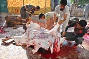 Butchers busy in slaughtering sacrificial animals at Jamia Masjid Zia ul Aloom Satellite Town on the first day of Eidul Azha