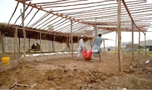 Vendors busy in installing shed for animals at cattle market on Ring road.