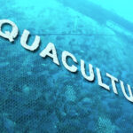 Aquaculture
