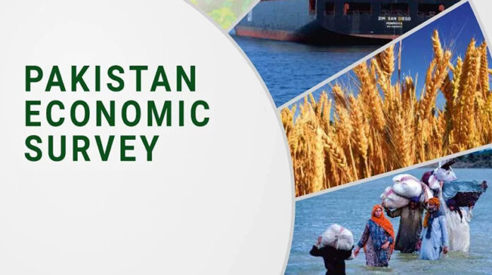 Economic Survey 2023-24