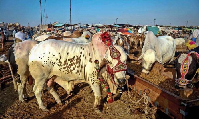 Eid-ul-Azha
