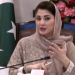 CM orders measures to declare 'No-Bird Zones' for aircraft safety in Lahore