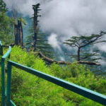 Murree
