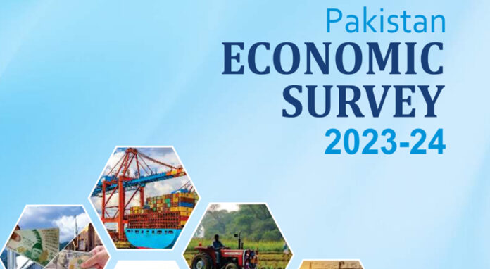 econmic-survey
