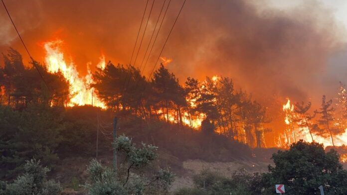 forest fires in Murree