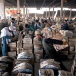 A labourer on the way carrying crates of mangoes on his back at Islamabad Fruit and Vegetables market