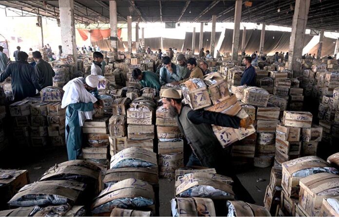 A labourer on the way carrying crates of mangoes on his back at Islamabad Fruit and Vegetables market