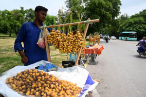 A vendor displaying and selling fresh dates at his road side setup