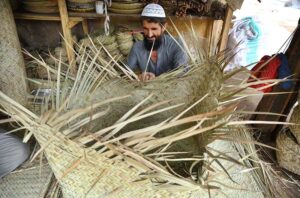 An elderly person is busy making a large basket with date palm leaves at his workplace.