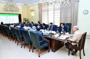 Prime Minister Muhammad Shehbaz Sharif chairs a meeting on restructuring of Wheat Board and matters related to PASSCO