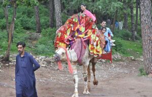 Family enjoy camel ride at famous picnic spot Daman-e-Koh