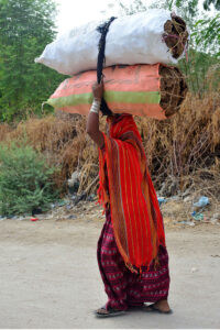 A woman on the way carrying bundles of a dung cake to be used for burning purpose