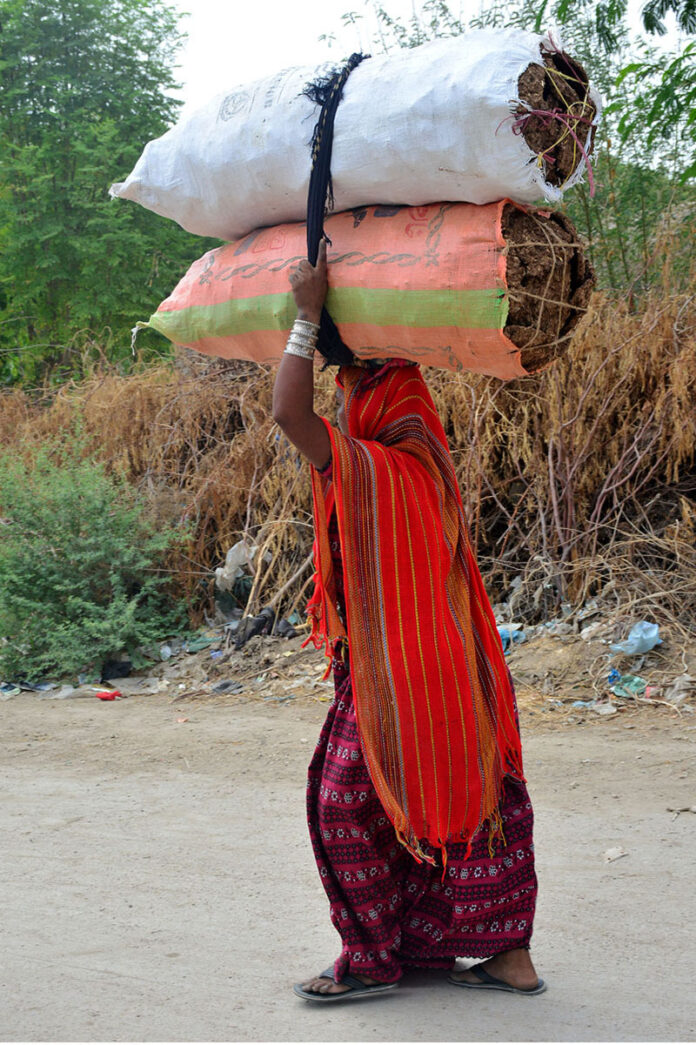 A woman on the way carrying bundles of a dung cake to be used for burning purpose