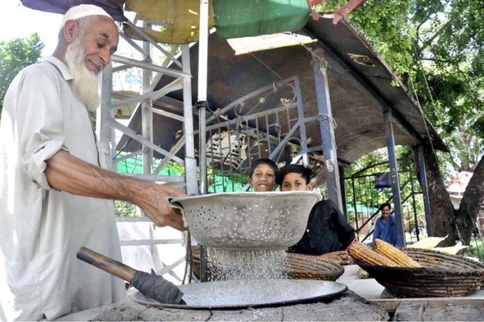 An elderly vendor roasting corn cob for customers at his roadside setup in Federal Capital
