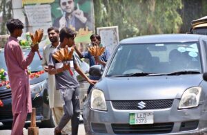 Vendors displaying and selling roasted corn cobs to attract customers.