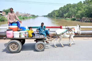 A donkey cart holder crossing Phulile Canal on bridge loaded with water cans at Norani Basti
