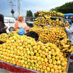 A vendor displays and sells seasonal fruits at his roadside setup in the Federal Capital