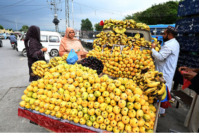 A vendor displays and sells seasonal fruits at his roadside setup in the Federal Capital