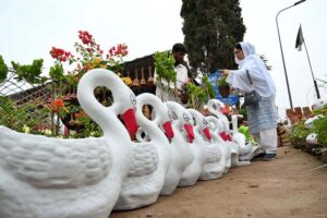 A woman customer selecting and purchasing plants from local nursery at Hayatabad.