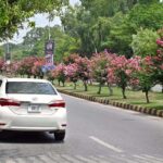 An attractive and eye-catching view of seasonal flowers flourishing and blooming on roadside trees in the Federal Capital