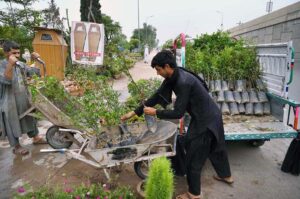 A woman customer selecting and purchasing plants from local nursery at Hayatabad.