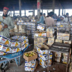 A labourer loading wooden boxes of mangoes on handcart at Fruit and Vegetable Market in the Federal Capital