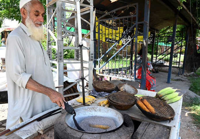 An elder vendor roasting corn cob for selling at his roadside setup