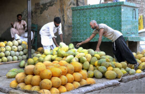Vendors are selling seasonal fruit Persian melon at their roadside setup in the city.