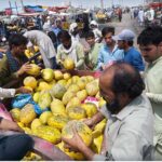 People purchasing seasonal fruit displayed by vendor at Fruit and Vegetable Market in the Federal Capital