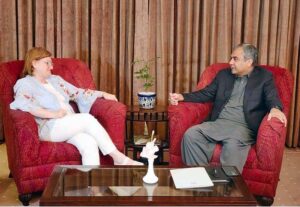 Interior Minister Mohsin Naqvi in a meeting with Italian Ambassador Marilina ARMELLIN.