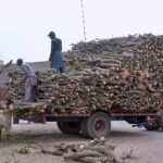 Labourers are loading wooden pieces on a tractor trolly at the timber market