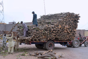 Labourers are loading wooden pieces on a tractor trolly at the timber market