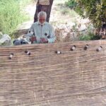 An elderly man crafts a traditional bamboo curtain (chick) at his workplace under the shade of a tree, shielding himself from the scorching sun in the city