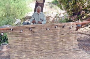 An elderly man crafts a traditional bamboo curtain (chick) at his workplace under the shade of a tree, shielding himself from the scorching sun in the city