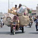A herd of sheep resting under the shadow of a tree while a shepherd standing along Usman-e-Ghani Road during hot weather in the city